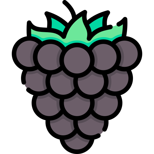 Blackberry